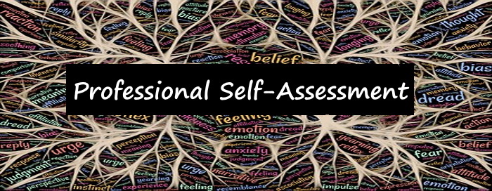 Professional Self-Assessment